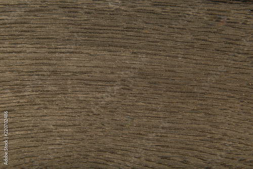 Veneer made from old oak, texture of wood