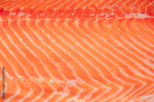 Fish Salmon close up.