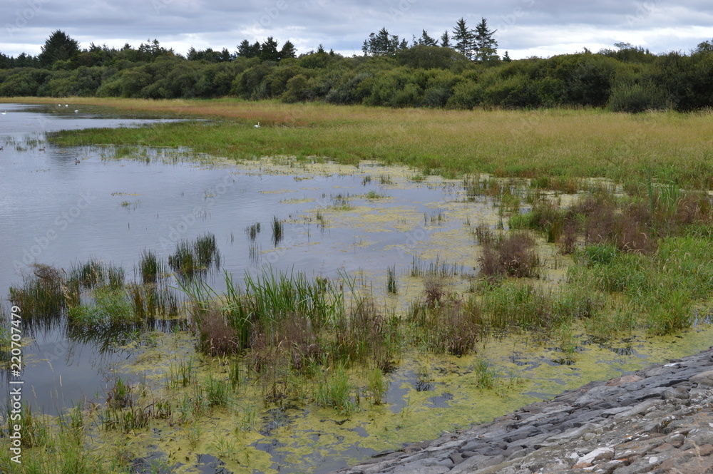 Cameron Reservoir near St Andrews, Fife, Scotland, September 2018 Cameron Reservoir near St Andrews, Fife, Scotland, September 2018