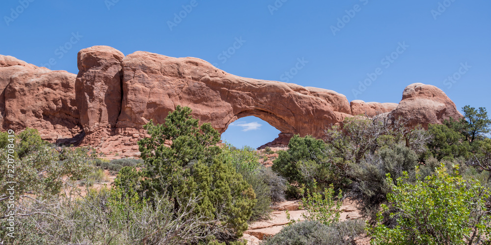 Fototapeta premium Arches National Park