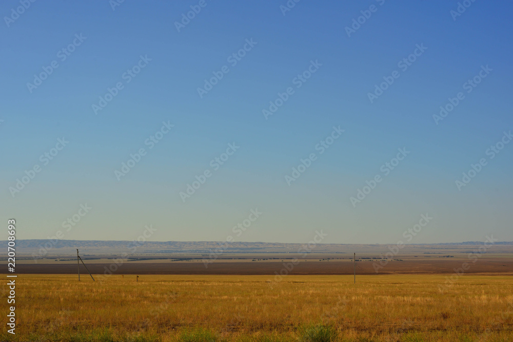 Fototapeta premium Kazakh steppe