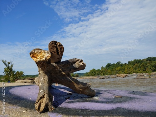 Wood log at reverside photo