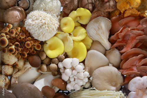fresh uncooked exotic mushroom varieties