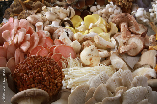 fresh uncooked exotic mushroom varieties photo