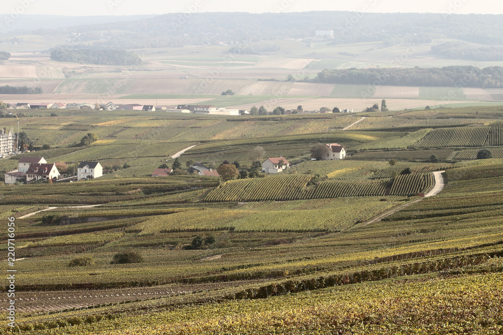 Obraz premium Champagne