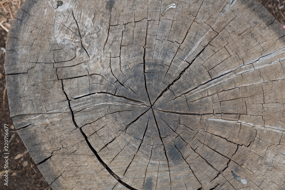 Fototapeta premium Amud Stream Nature Reserve in Northern Israel