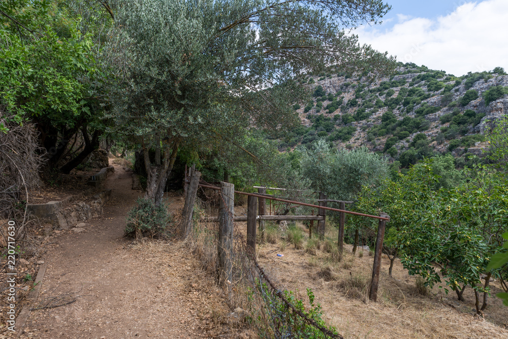 Amud Stream Nature Reserve in Northern Israel Amud Stream Nature Reserve in Northern Israel