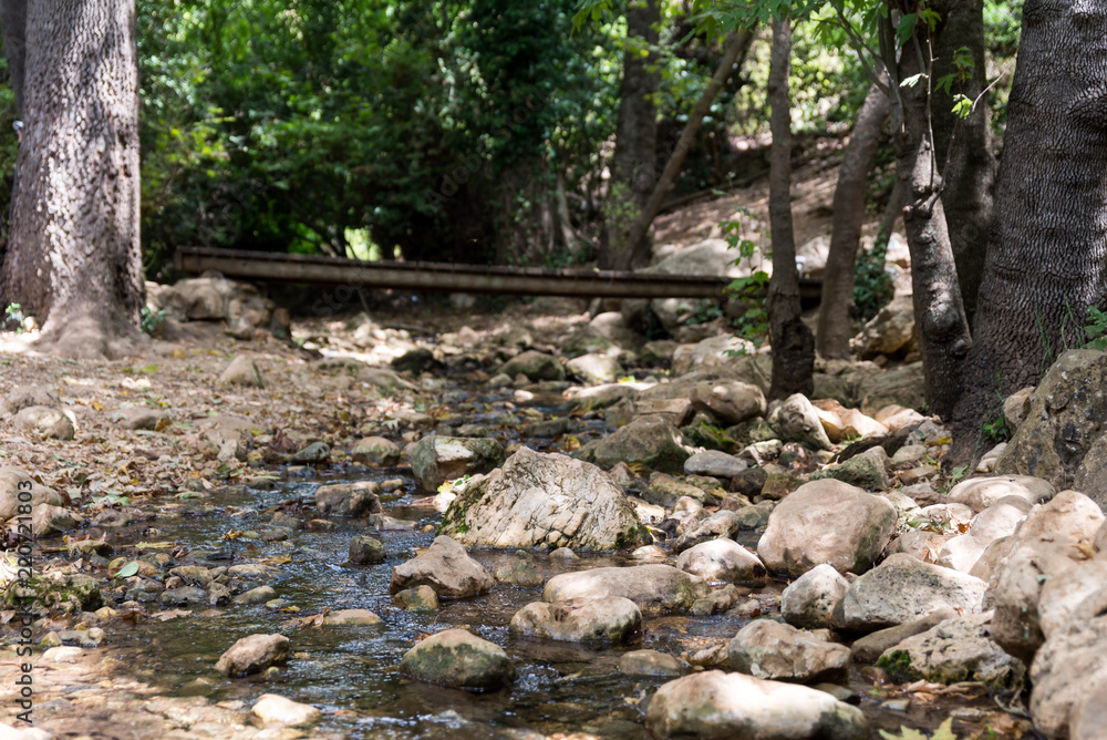 Amud Stream Nature Reserve in Northern Israel Amud Stream Nature Reserve in Northern Israel