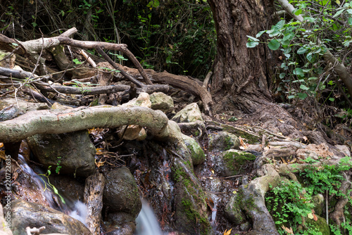 Amud Stream Nature Reserve in Northern Israel