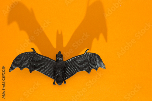 Halloween background concept. Minimal flat lay view of black bat graphic shadow on orange background