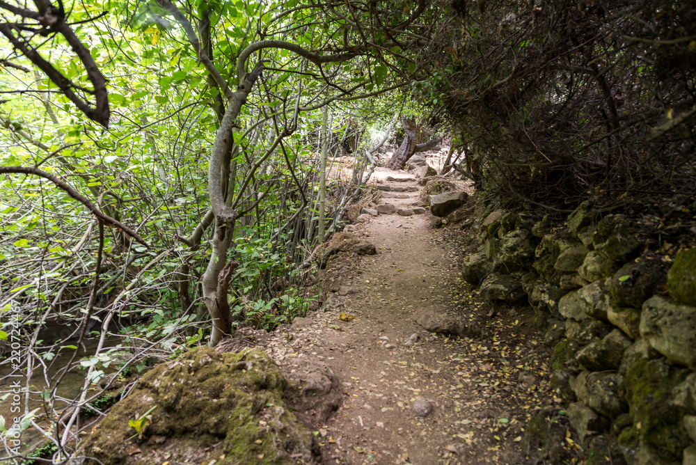 Amud Stream Nature Reserve in Northern Israel Amud Stream Nature Reserve in Northern Israel