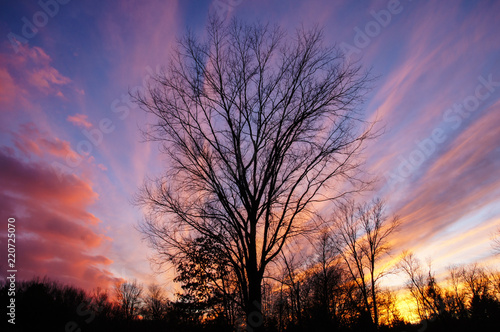 New Year s Sunset Silhouette