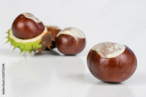 Ripe chestnuts in casings on a white table. Fruit of the tree - chestnut.