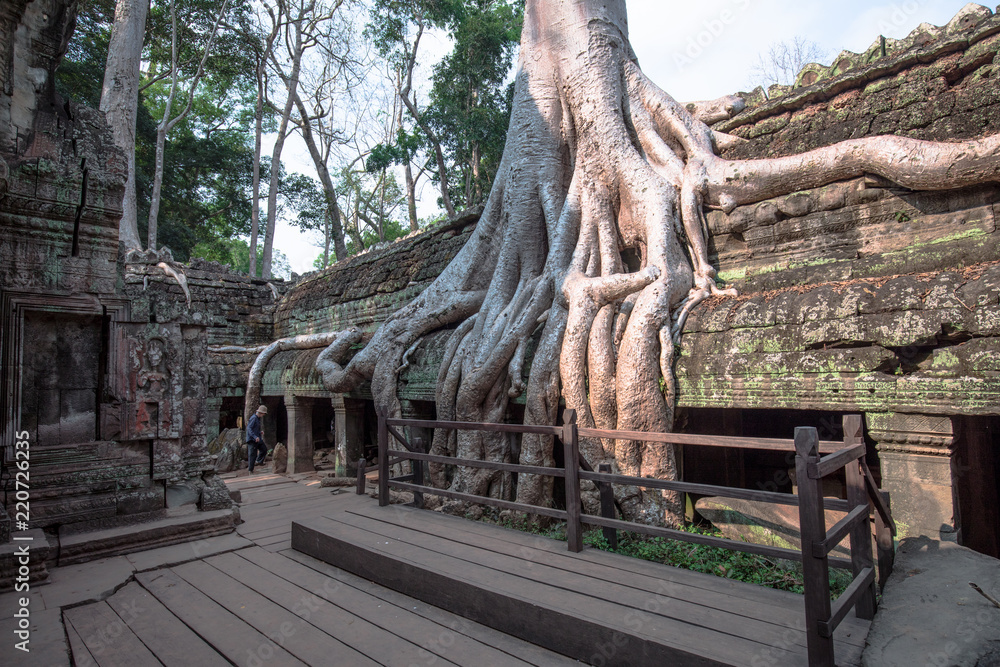 Buddha Temple in the nature of cambodia