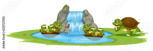 Happy turtle at the pond