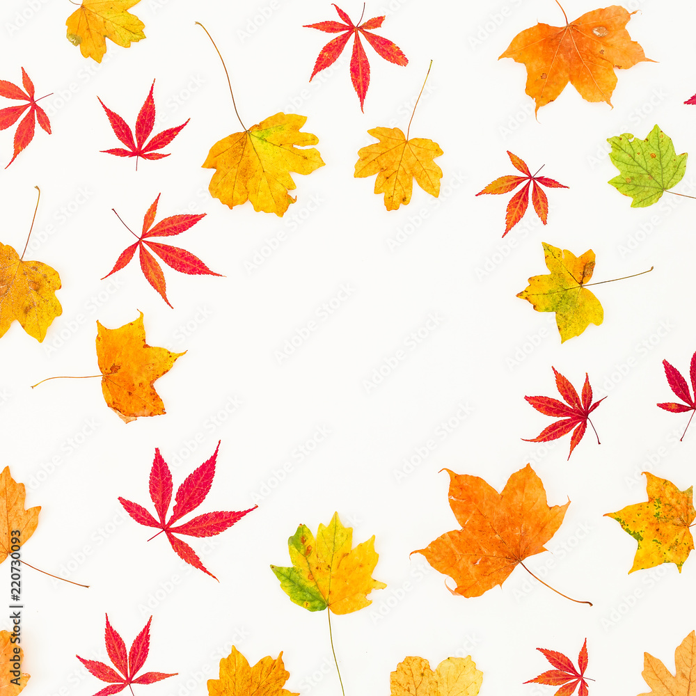 Fototapeta premium Autumn round frame of fall yellow and red leaves on white background. Flat lay, top view.