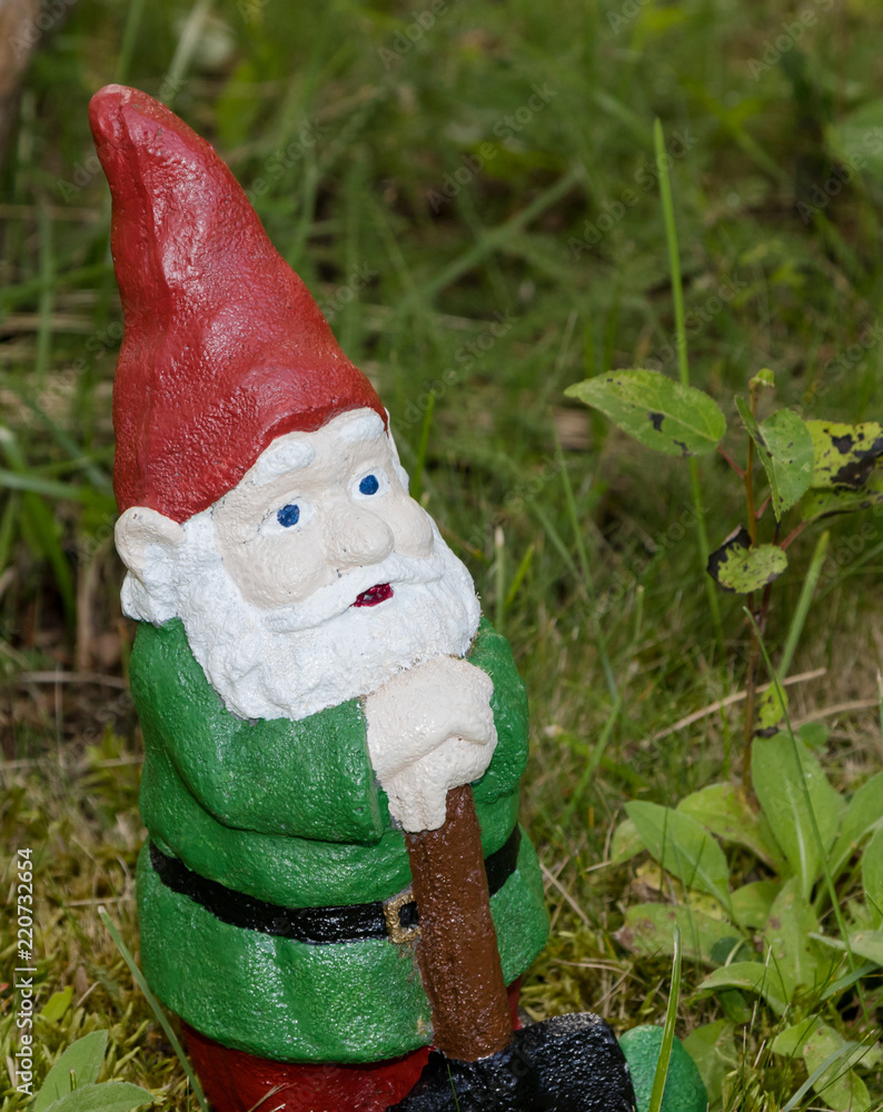 Obraz premium Garden gnome