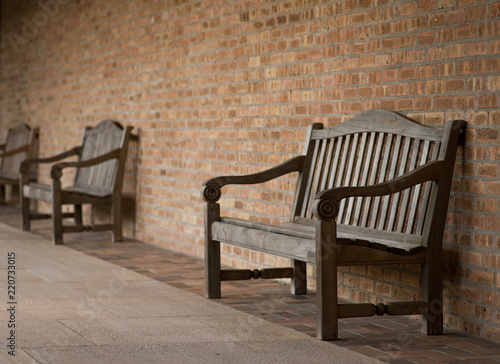 Perspective of diagonal row park benches in botanic garden © bjphotographs