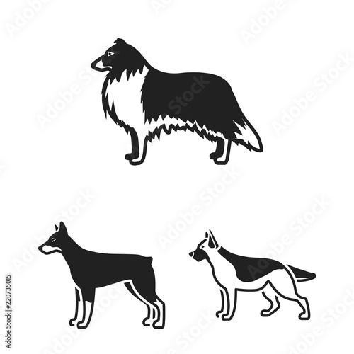 Dog breeds black icons in set collection for design.Dog pet vector symbol stock web illustration.