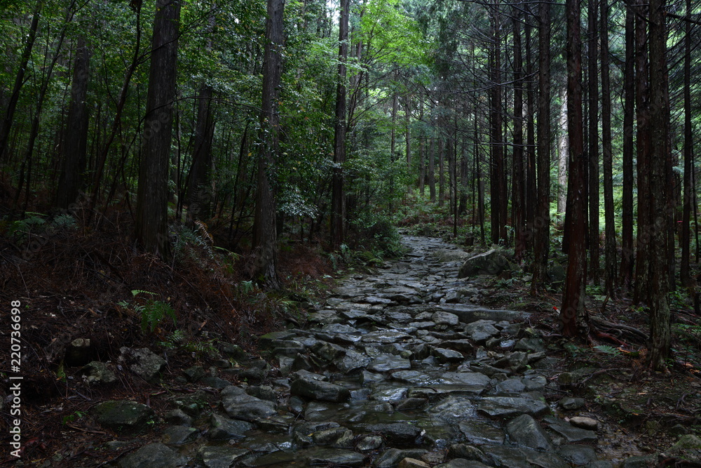 熊野古道 熊野古道