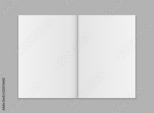 Blank open magazine template