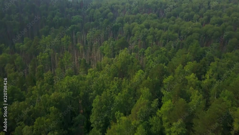 Aerial view of Krasnoyarsk national park at misty morning drone footage Aerial view of Krasnoyarsk national park at misty morning drone footage