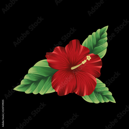 Tropical wildflower hibuscus red and white, aquerelle flower for border or background vector illustration