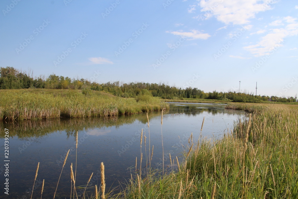 On The Pond, Pylypow Wetlands, Edmonton, Alberta
