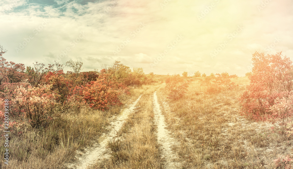 Fototapeta premium Vintage landscape with rural road