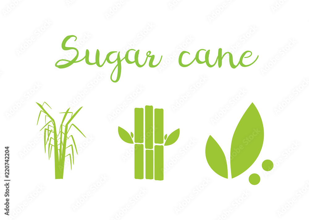 Sugar and sugar cane labels. Sugar cane vector illustration Sugar and sugar cane labels. Sugar cane vector illustration