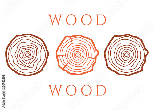 Vector tree rings. Wood texture vector. Abstract circle tree background