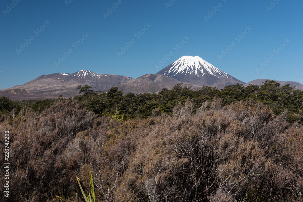 Obraz premium Snow covered Mounts Ngauruhoe and Tongariro, two active volcanos on the Central Plateau of the North Island of New Zealand. Viewed from the west.