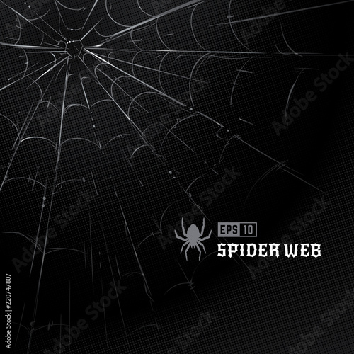 Vector spider web on black halftone background. Hand-drawn spider web. Vector art.