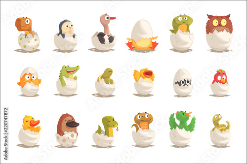Chicks and reptiles hatch from eggs set, unborn animals vector Illustrations