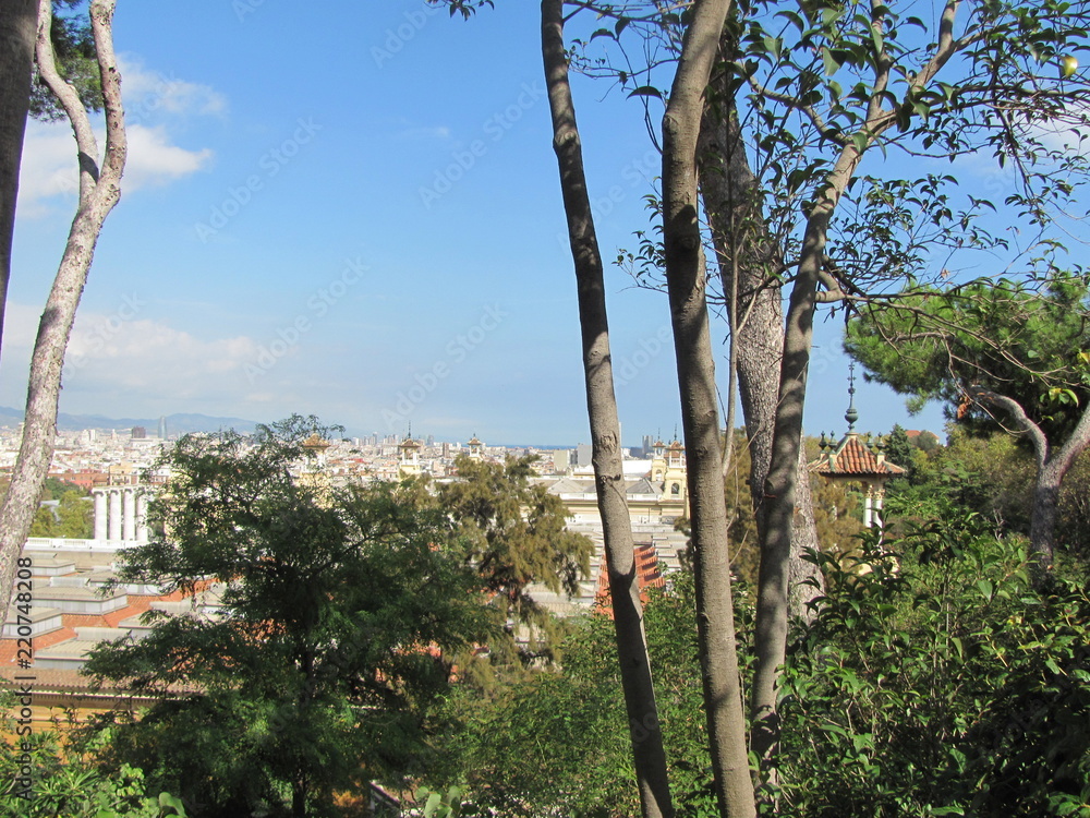 Panorama of Barcelona and trees