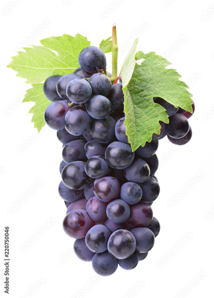 Fototapeta premium Grapes on a white background