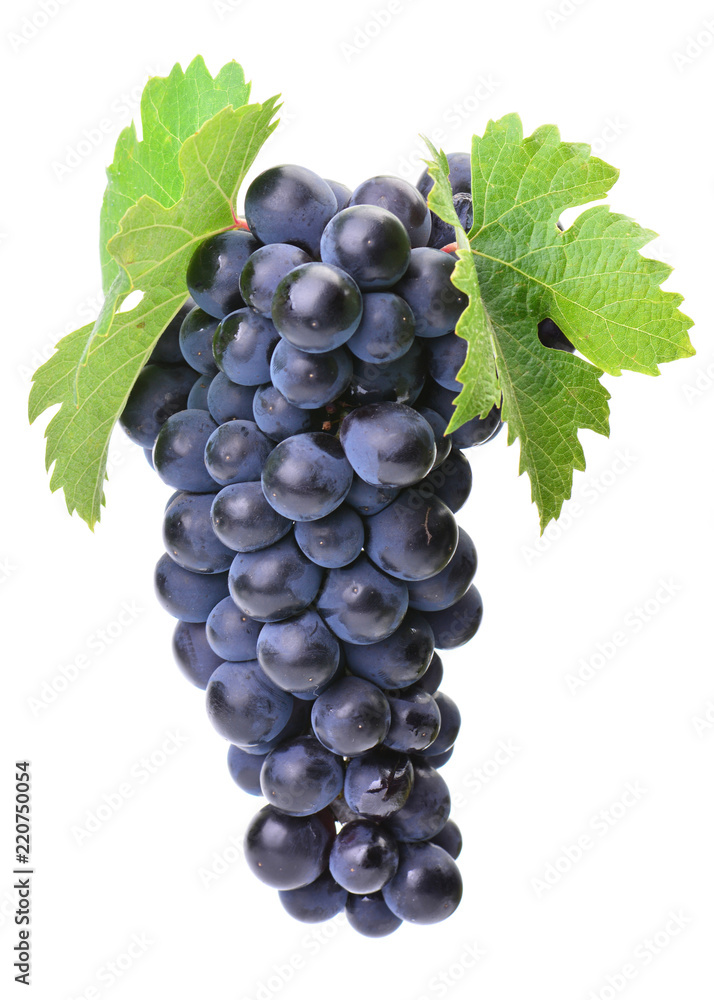 Obraz premium Grapes on a white background