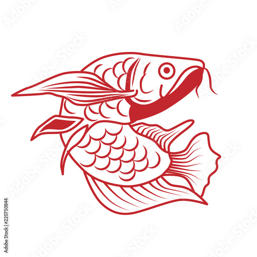 Arowana fish vector