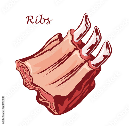 Meat food. Ribs isolated on white background. Cut of beef on the bone. Colored image with contour. Vector illustration. Icon, emblem, logo element.