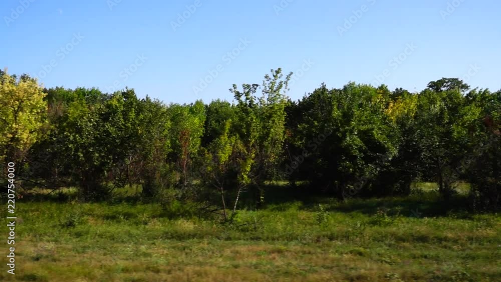 Country landscape. Shooting in the movement. Country landscape. Shooting in the movement.
