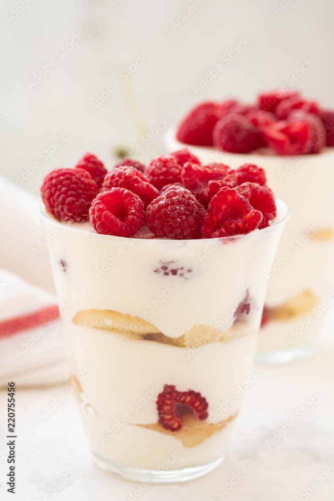 Raspberry dessert, cheesecake, raspberry tiramisu, trifle, mousse in a glass on a white background. Raspberry dessert, cheesecake, raspberry tiramisu, trifle, mousse in a glass on a white background.