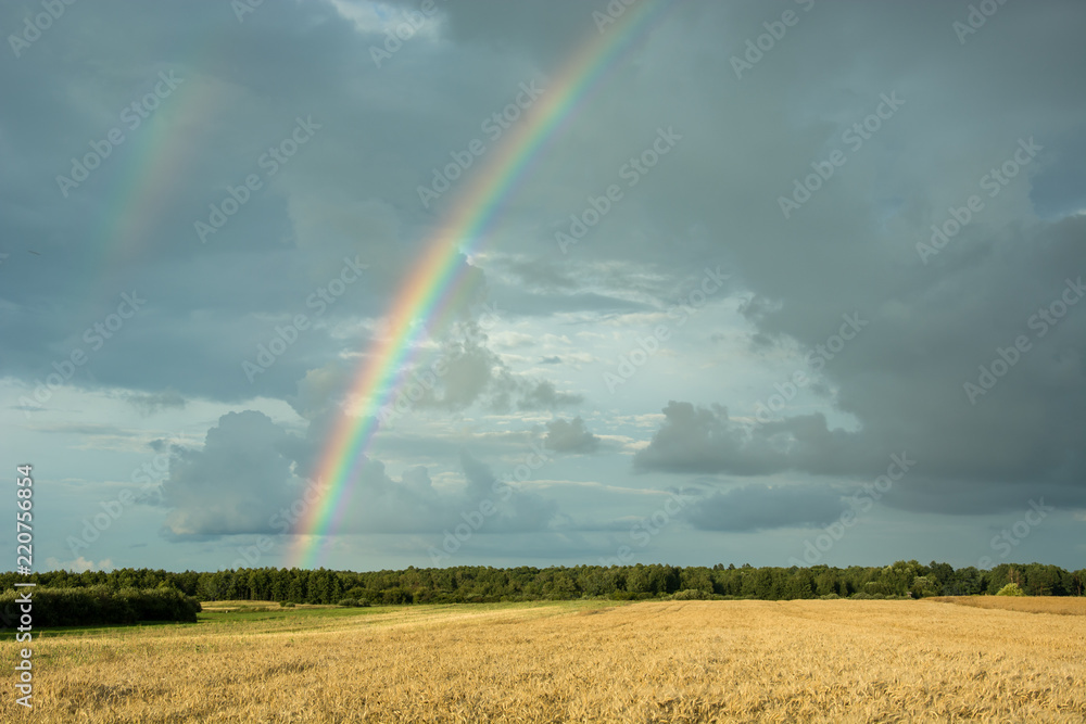 Big colorful rainbow on a dark sky over the forest and fields Big colorful rainbow on a dark sky over the forest and fields