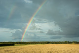 Big colorful rainbow on a dark sky over the forest and fields