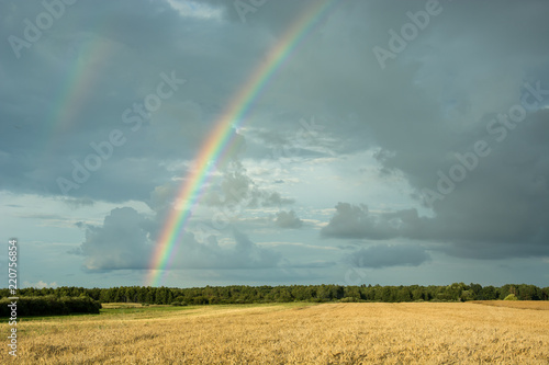 Big colorful rainbow on a dark sky over the forest and fields