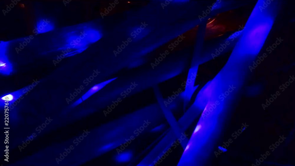 Bamboo and Lights 5 Bamboo and Lights 5