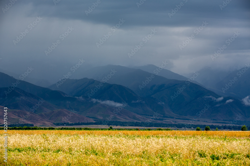 Beautiful field of different colors, view of the mountains