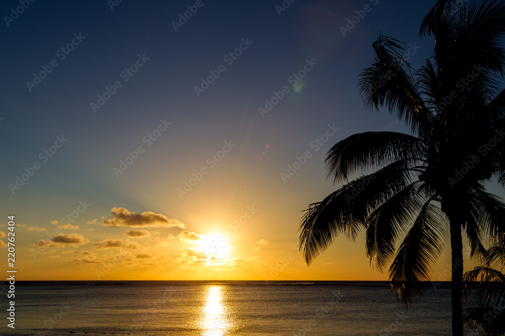 Silhouette einer Palme vor dem Sonnenuntergang in Le Morne, Mauritius, Afrika.