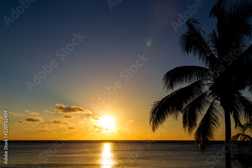 Silhouette einer Palme vor dem Sonnenuntergang in Le Morne, Mauritius, Afrika. © DirkR