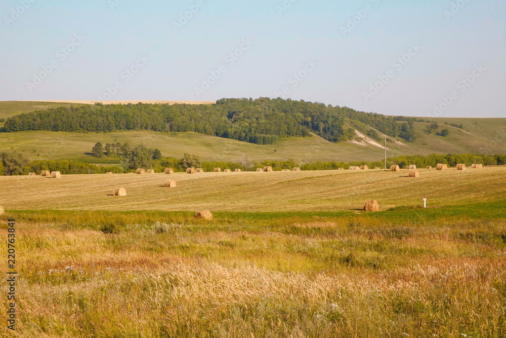 Summer or autumn haystacks on the field