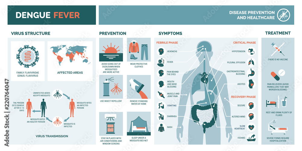 Photo & Art Print Dengue fever infographic, elenabsl